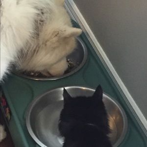 Meet your Posher, Rina